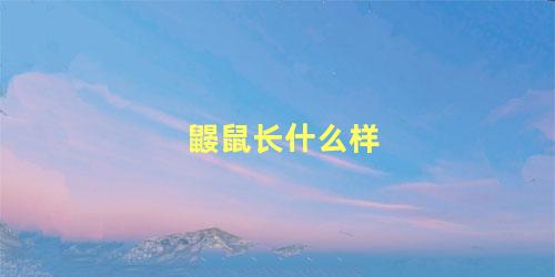 鼹鼠长什么样