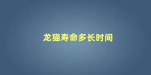 龙猫寿命多长时间