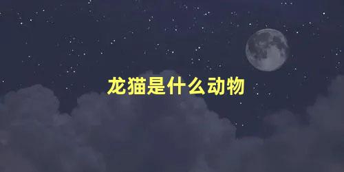 龙猫是什么动物