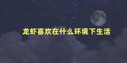 龙虾喜欢在什么环境下生活