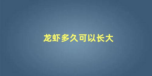 龙虾多久可以长大