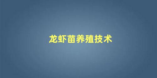 龙虾苗养殖技术